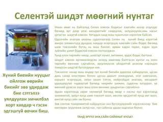 Хүний биеийн нууцыг
ойлгож өөрийн
биеийг зөв удирдаж
бие сэтгэлээ
уялдуулан эмчилбэл
хорт хавдар ч гэсэн
эдгэшгүй өвчин биш.
Улаан мөөг нь байгальд Селен хэмээх бодисыг хамгийн ихээр агуулдаг
бөгөөд эрт дээр үеэс хөгшрөлтийг сааруулах, залуужуулах,амь насыг
уртасгах шидтэй хэмээн Хятадын хаад маш чухалчлан хэрэглэж байсан.
Одоогийн анагаах ухааны судалгаагаар Селен нь хүний биед хэрэгтэй
микро элементүүд дундаас хавдар эсэргүүцэх хамгийн сайн бодис бөгөөд
шим тэжээлийн бүтэц нь маш баялаг, арван хэдэн төрөл, хэдэн зуун
зүйлийн шимт бодистой хэмээн тогтоогджээ.
Үүнд олон төрлийн чихэр, шивтэрт хүчил, витамин, эрдэс бодис багтана.
Шидэт хэмээн өргөмжлөгдсөн энэхүү мөөгөөр бэлтгэсэн нунтаг нь олон
төрлийн өвчнөөс сэргийлэх, эрүүлжүүлэх үйлдэлтэй үнэхээр нэрэндээ
тохирсон шидтэй бүтээгдхүүн юм.
Тэжээллэг чанар маш өндөр тул хүний биеийн дархлаа сайжруулах, цусан
дахь сахар хлостерин болон цусны даралт зохицуулах, элэг хамгаалах,
харшил эсэргүүцэх, оюун ухаан тэтгэх, нойргүйдэл анагаах, хөгшрөлт
удаашруулах чадвартай бөгөөд чихрийн шижин, судасны хатуурал, үе
мөчний үрэвсэл зэрэг маш олон өвчнөөс урьдчилан сэргийлнэ.
Удаан хэрэглэхэд сөрөг нөлөөгүй бөгөөд ямар ч насны хүн хэрэглэхэд
зохимжтой, эрүүл хүнд шим тэжээлт хоол, өвчлөх эрсдэлтэй хүнд эмт хоол,
өвчтэй хүнд сайн эм болно.
Зөв сонгож тохиромжтой найруулсан энэ бүтээгдхүүнийг хэрэглэснээр бие
хөнгөрөн эрүүлжиж залуу нас, гоо сайхнаа удаан хадгалах болно.
ТАНД ЭРҮҮЛ ЭНХ,САЙН САЙХНЫГ ХҮСЬЕ!
Селентэй шидэт мөөгний нунтаг
 