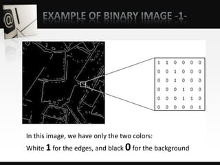 In this image, we have only the two colors:
White 1 for the edges, and black 0for the background
 
