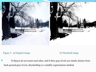Figure 3: a) Original image b) Threshold image
 If objects do not touch each other, and if their gray-levels are clearly distinct from
back-ground gray-levels, thresholding is a suitable segmentation method.
 