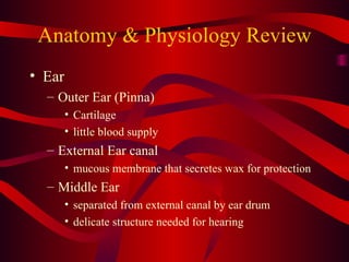 Anatomy & Physiology Review Ear Outer Ear (Pinna) Cartilage little blood supply External Ear canal mucous membrane that secretes wax for protection Middle Ear separated from external canal by ear drum delicate structure needed for hearing 