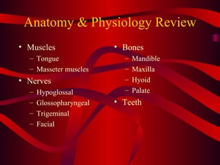 Anatomy & Physiology Review Muscles Tongue Masseter muscles Nerves Hypoglossal Glossopharyngeal Trigeminal Facial Bones Mandible Maxilla Hyoid Palate Teeth 