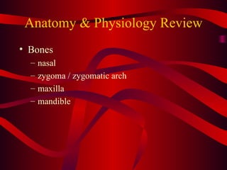 Anatomy & Physiology Review Bones nasal zygoma / zygomatic arch maxilla mandible 