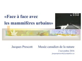 Jacques Prescott Musée canadien de la nature
2 novembre 2016
jacquesprescott@sympatico.ca
«Face à face avec
les mammifères urbains»
 