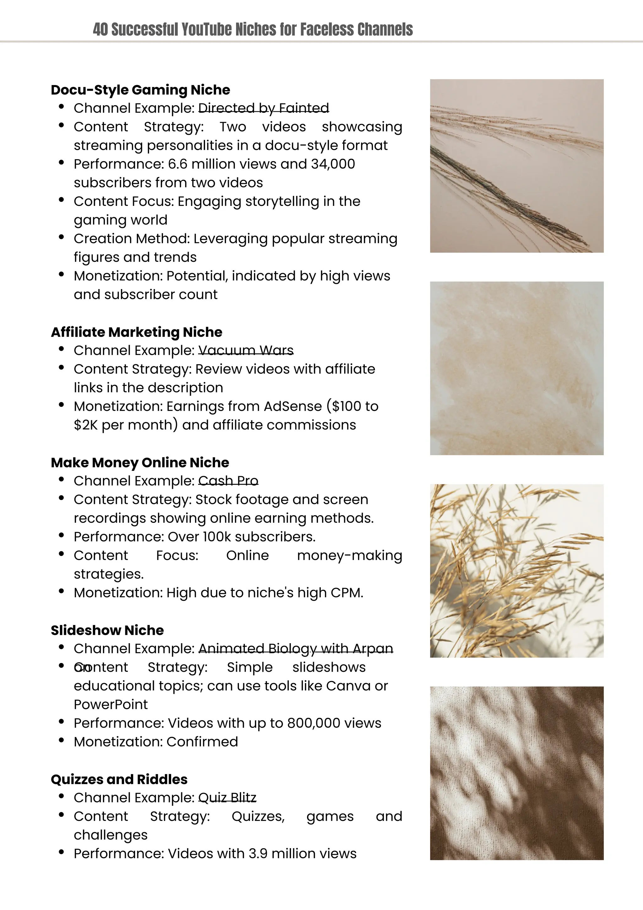 Docu-Style Gaming Niche
Channel Example: Directed by Fainted
Content Strategy: Two videos showcasing
streaming personalities in a docu-style format
Performance: 6.6 million views and 34,000
subscribers from two videos
Content Focus: Engaging storytelling in the
gaming world
Creation Method: Leveraging popular streaming
figures and trends
Monetization: Potential, indicated by high views
and subscriber count
Affiliate Marketing Niche
Channel Example: Vacuum Wars
Content Strategy: Review videos with affiliate
links in the description
Monetization: Earnings from AdSense ($100 to
$2K per month) and affiliate commissions
Make Money Online Niche
Channel Example: Cash Pro
Content Strategy: Stock footage and screen
recordings showing online earning methods.
Performance: Over 100k subscribers.
Content
strategies.
Monetization: High due to niche's high CPM.
Focus: Online money-making
Slideshow Niche
Channel Example: Animated Biology with Arpan
Content Strategy: Simple slideshows
on
educational topics; can use tools like Canva or
PowerPoint
Performance: Videos with up to 800,000 views
Monetization: Confirmed
Quizzes and Riddles
Channel Example: Quiz Blitz
Content
challenges
Performance: Videos with 3.9 million views
Strategy: Quizzes, games and
40 Successful YouTube Niches for Faceless Channels
 