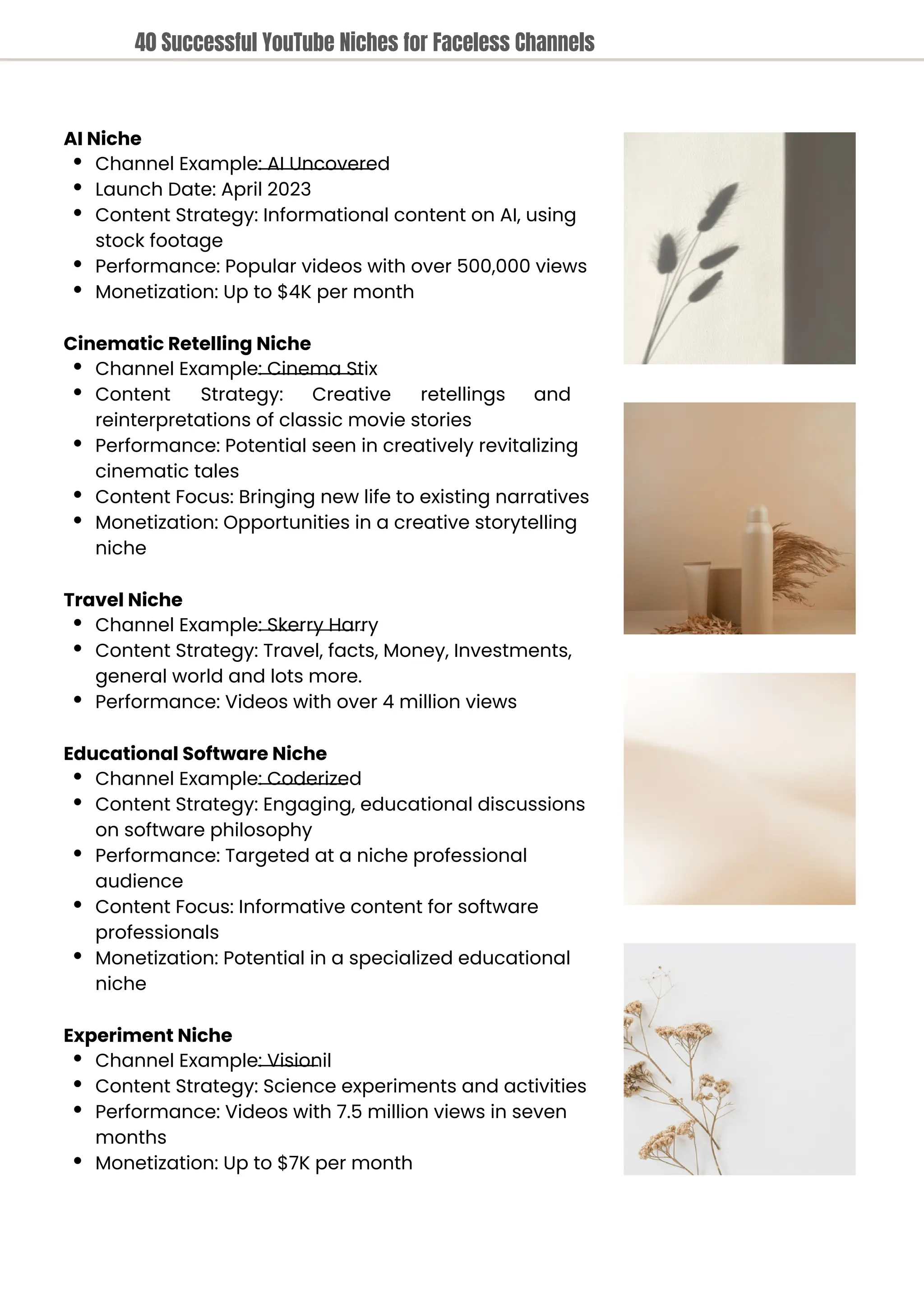 AI Niche
Channel Example: AI Uncovered
Launch Date: April 2023
Content Strategy: Informational content on AI, using
stock footage
Performance: Popular videos with over 500,000 views
Monetization: Up to $4K per month
Cinematic Retelling Niche
Channel Example: Cinema Stix
Content Strategy: Creative retellings and
reinterpretations of classic movie stories
Performance: Potential seen in creatively revitalizing
cinematic tales
Content Focus: Bringing new life to existing narratives
Monetization: Opportunities in a creative storytelling
niche
Travel Niche
Channel Example: Skerry Harry
Content Strategy: Travel, facts, Money, Investments,
general world and lots more.
Performance: Videos with over 4 million views
Educational Software Niche
Channel Example: Coderized
Content Strategy: Engaging, educational discussions
on software philosophy
Performance: Targeted at a niche professional
audience
Content Focus: Informative content for software
professionals
Monetization: Potential in a specialized educational
niche
Experiment Niche
Channel Example: Visionil
Content Strategy: Science experiments and activities
Performance: Videos with 7.5 million views in seven
months
Monetization: Up to $7K per month
40 Successful YouTube Niches for Faceless Channels
 