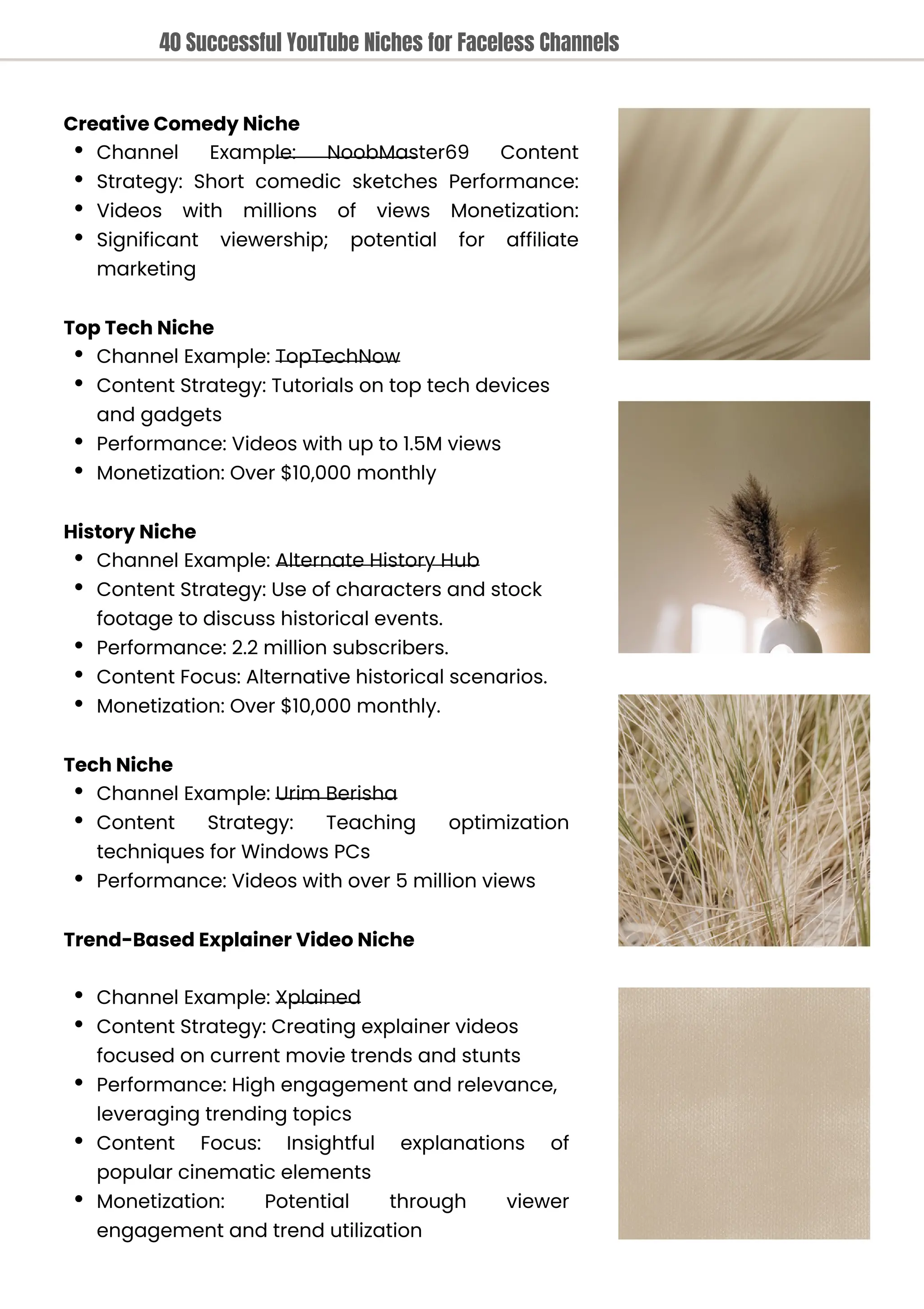 Tech Niche
Channel Example: Urim Berisha
Content Strategy: Teaching optimization
techniques for Windows PCs
Performance: Videos with over 5 million views
Top Tech Niche
Channel Example: TopTechNow
Content Strategy: Tutorials on top tech devices
and gadgets
Performance: Videos with up to 1.5M views
Monetization: Over $10,000 monthly
History Niche
Channel Example: Alternate History Hub
Content Strategy: Use of characters and stock
footage to discuss historical events.
Performance: 2.2 million subscribers.
Content Focus: Alternative historical scenarios.
Monetization: Over $10,000 monthly.
Creative Comedy Niche
Channel Example: NoobMaster69 Content
Strategy: Short comedic sketches Performance:
Videos with millions of views Monetization:
Significant viewership; potential for affiliate
marketing
Trend-Based Explainer Video Niche
Channel Example: Xplained
Content Strategy: Creating explainer videos
focused on current movie trends and stunts
Performance: High engagement and relevance,
leveraging trending topics
Content Focus: Insightful explanations of
popular cinematic elements
Monetization: Potential through viewer
engagement and trend utilization
40 Successful YouTube Niches for Faceless Channels
 