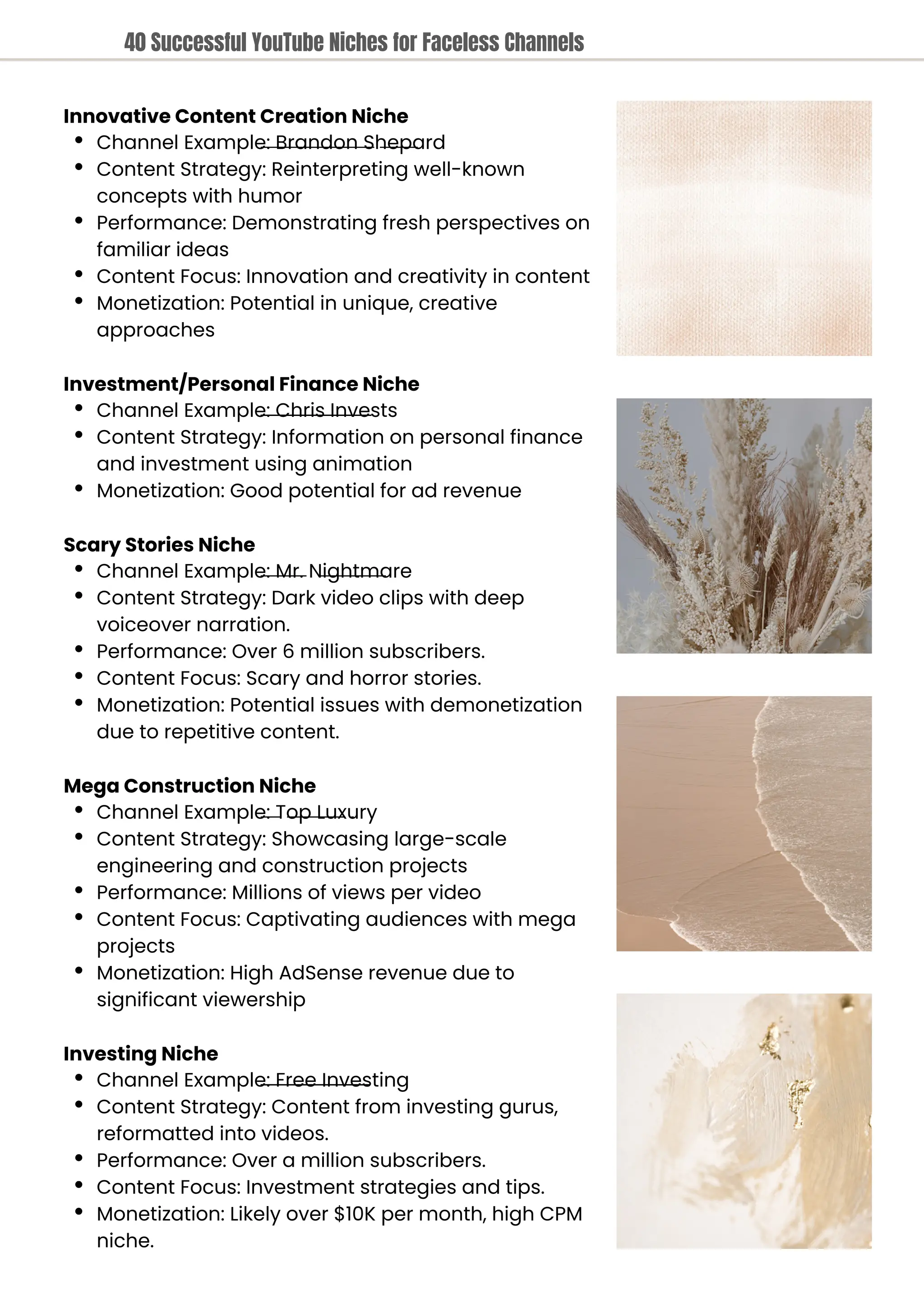 Innovative Content Creation Niche
Channel Example: Brandon Shepard
Content Strategy: Reinterpreting well-known
concepts with humor
Performance: Demonstrating fresh perspectives on
familiar ideas
Content Focus: Innovation and creativity in content
Monetization: Potential in unique, creative
approaches
Investment/Personal Finance Niche
Channel Example: Chris Invests
Content Strategy: Information on personal finance
and investment using animation
Monetization: Good potential for ad revenue
Scary Stories Niche
Channel Example: Mr. Nightmare
Content Strategy: Dark video clips with deep
voiceover narration.
Performance: Over 6 million subscribers.
Content Focus: Scary and horror stories.
Monetization: Potential issues with demonetization
due to repetitive content.
Mega Construction Niche
Channel Example: Top Luxury
Content Strategy: Showcasing large-scale
engineering and construction projects
Performance: Millions of views per video
Content Focus: Captivating audiences with mega
projects
Monetization: High AdSense revenue due to
significant viewership
Investing Niche
Channel Example: Free Investing
Content Strategy: Content from investing gurus,
reformatted into videos.
Performance: Over a million subscribers.
Content Focus: Investment strategies and tips.
Monetization: Likely over $10K per month, high CPM
niche.
40 Successful YouTube Niches for Faceless Channels
 
