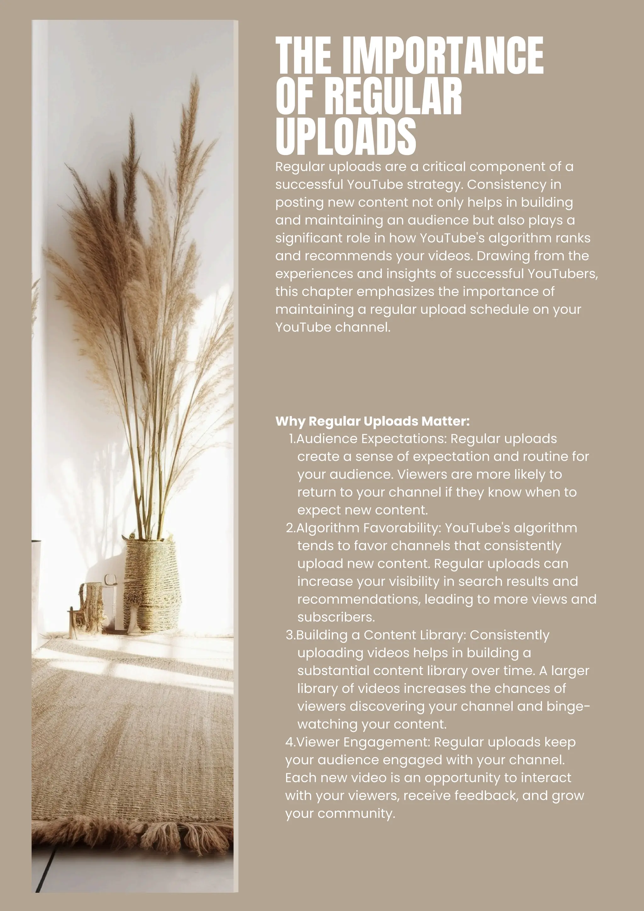 THE IMPORTANCE
OF REGULAR
UPLOADS
Regular uploads are a critical component of a
successful YouTube strategy. Consistency in
posting new content not only helps in building
and maintaining an audience but also plays a
significant role in how YouTube's algorithm ranks
and recommends your videos. Drawing from the
experiences and insights of successful YouTubers,
this chapter emphasizes the importance of
maintaining a regular upload schedule on your
YouTube channel.
Why Regular Uploads Matter:
1.Audience Expectations: Regular uploads
create a sense of expectation and routine for
your audience. Viewers are more likely to
return to your channel if they know when to
expect new content.
2.Algorithm Favorability: YouTube's algorithm
tends to favor channels that consistently
upload new content. Regular uploads can
increase your visibility in search results and
recommendations, leading to more views and
subscribers.
3.Building a Content Library: Consistently
uploading videos helps in building a
substantial content library over time. A larger
library of videos increases the chances of
viewers discovering your channel and binge-
watching your content.
4.Viewer Engagement: Regular uploads keep
your audience engaged with your channel.
Each new video is an opportunity to interact
with your viewers, receive feedback, and grow
your community.
 