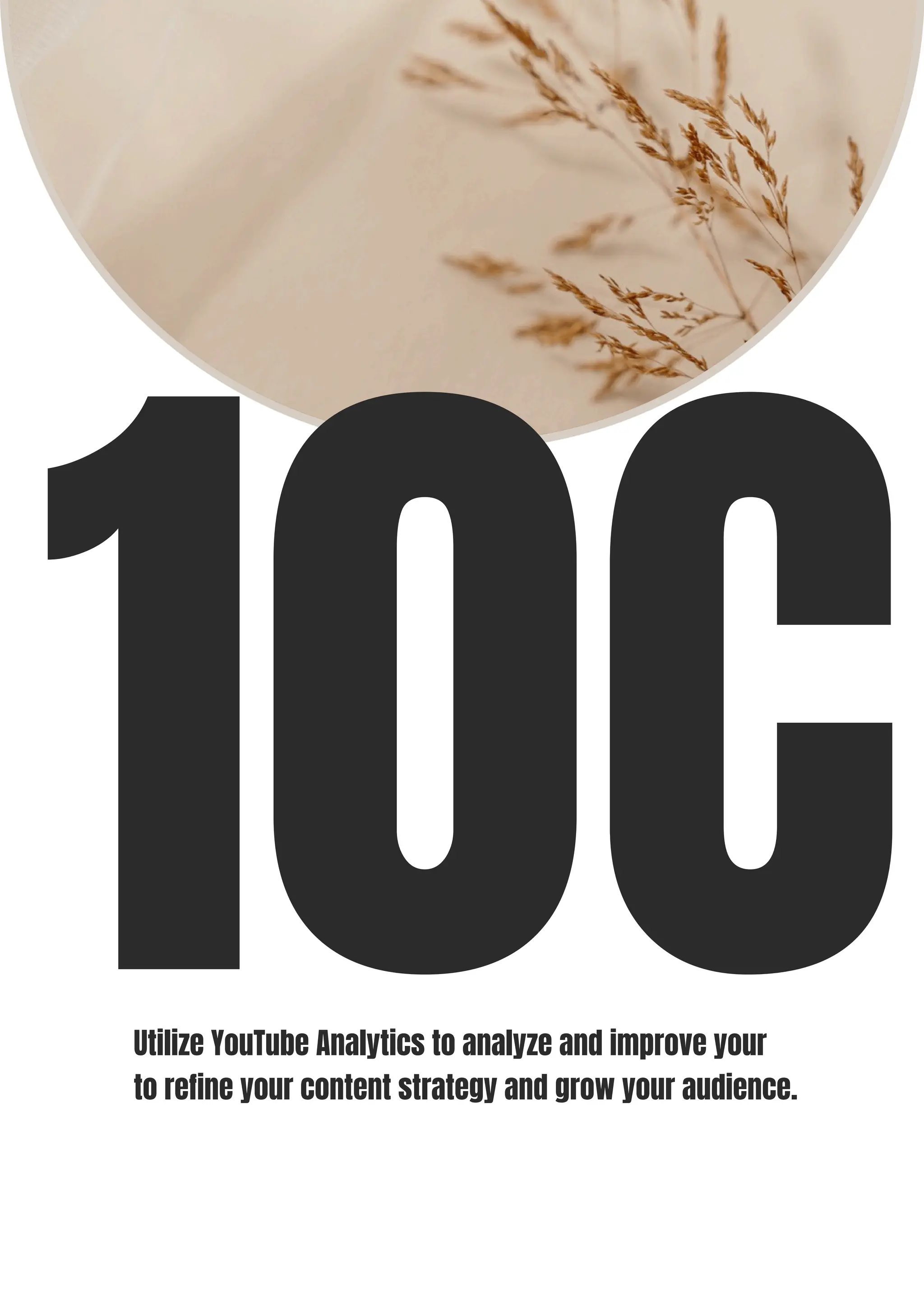 10C
Utilize YouTube Analytics to analyze and improve your
to refine your content strategy and grow your audience.
 