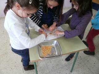 Facemos flocos de millo