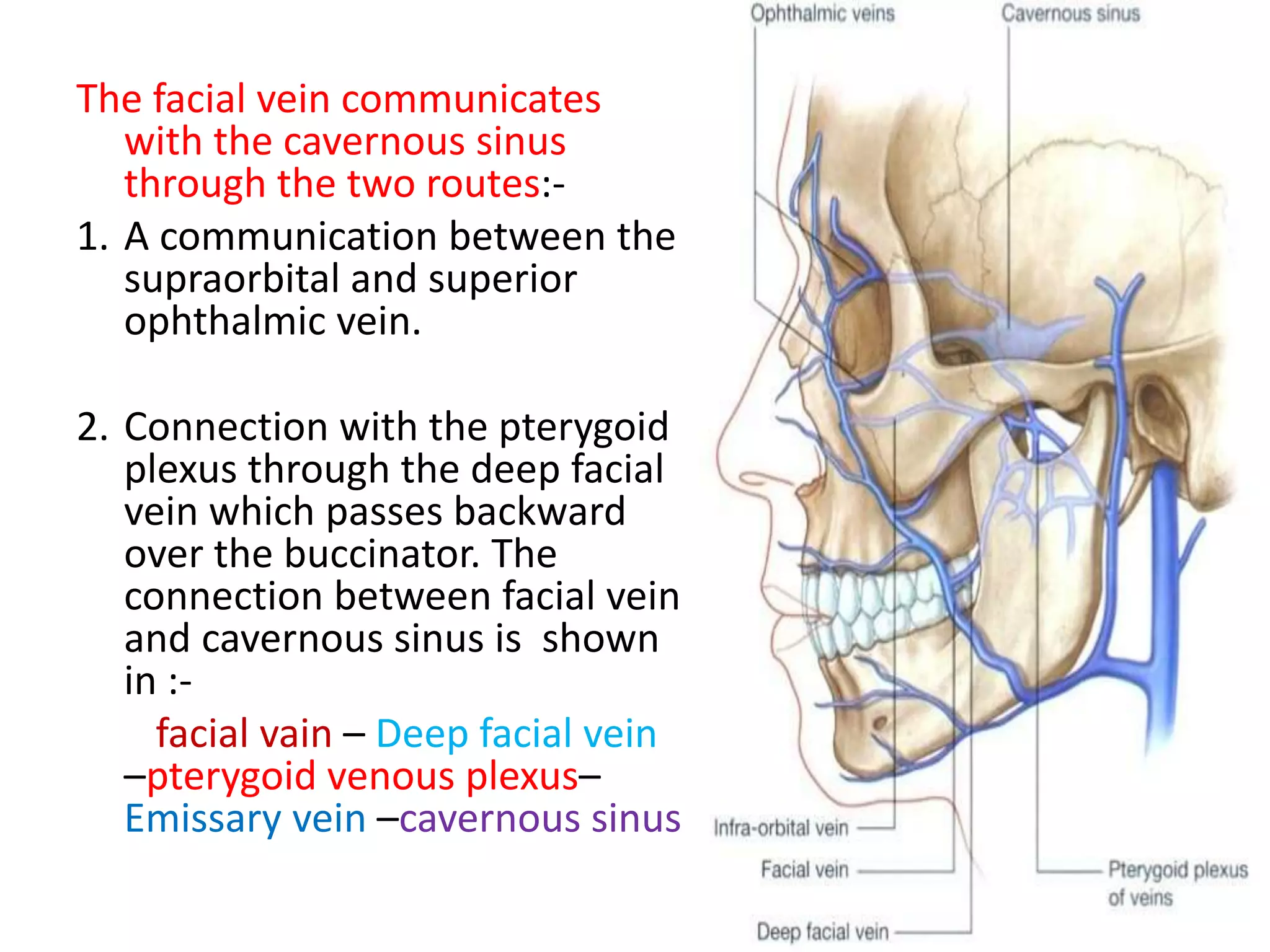 blood supply nerve supply of face | PPTX