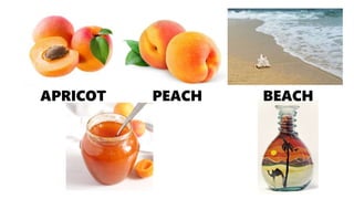 APRICOT PEACH BEACH
 