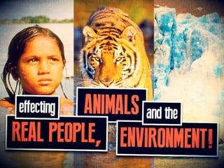 effecting REAL PEOPLE,ANIMALS, and the
ENVIRONMENT!
 