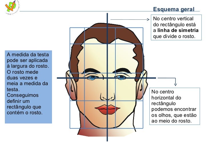 Propor es Do Rosto Propor es do rosto
