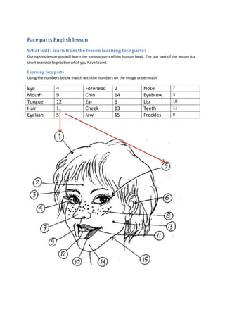 Face parts English lesson
What will I learn from the lesson learning face parts?
During this lesson you will learn the various parts of the human head. The last part of the lesson is a
short exercise to practise what you have learnt.

Learning face parts
Using the numbers below match with the numbers on the image underneath

Eye              4                 Forehead          2                 Nose              7
Mouth            9                 Chin              14                Eyebrow           3
Tongue           12                Ear               6                 Lip               10
Hair             1                 Cheek             13                Teeth             11
Eyelash          5                 Jaw               15                Freckles          8
 