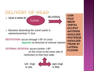  HEAD IS BORN BY
 Diameter distending the vulval outlet is
submentovertical-11.5cm
RESTITUTION: occurs through 1/8th of circle
Opposite to direction of internal rotation
EXTERNAL ROTATION: occurs further 1/8th
of the circle to the same side of
restitution so that face looks
left thigh right thigh
in LMA In RMA
FLEXION
•CHIN
•FACE
•BROW
•VERTEX
•OCCIPUT
•ANTERIOR
•SHOULDER
•POSTERIOR
•SHOULDER
•TRUNK BY
•LATERAL
•FLEXION
DELIVERING
 