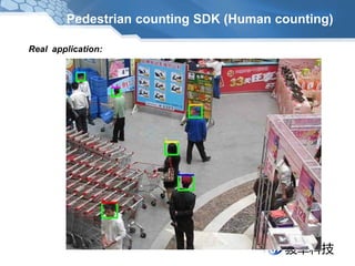 Pedestrian counting SDK (Human counting)

Real application:
 