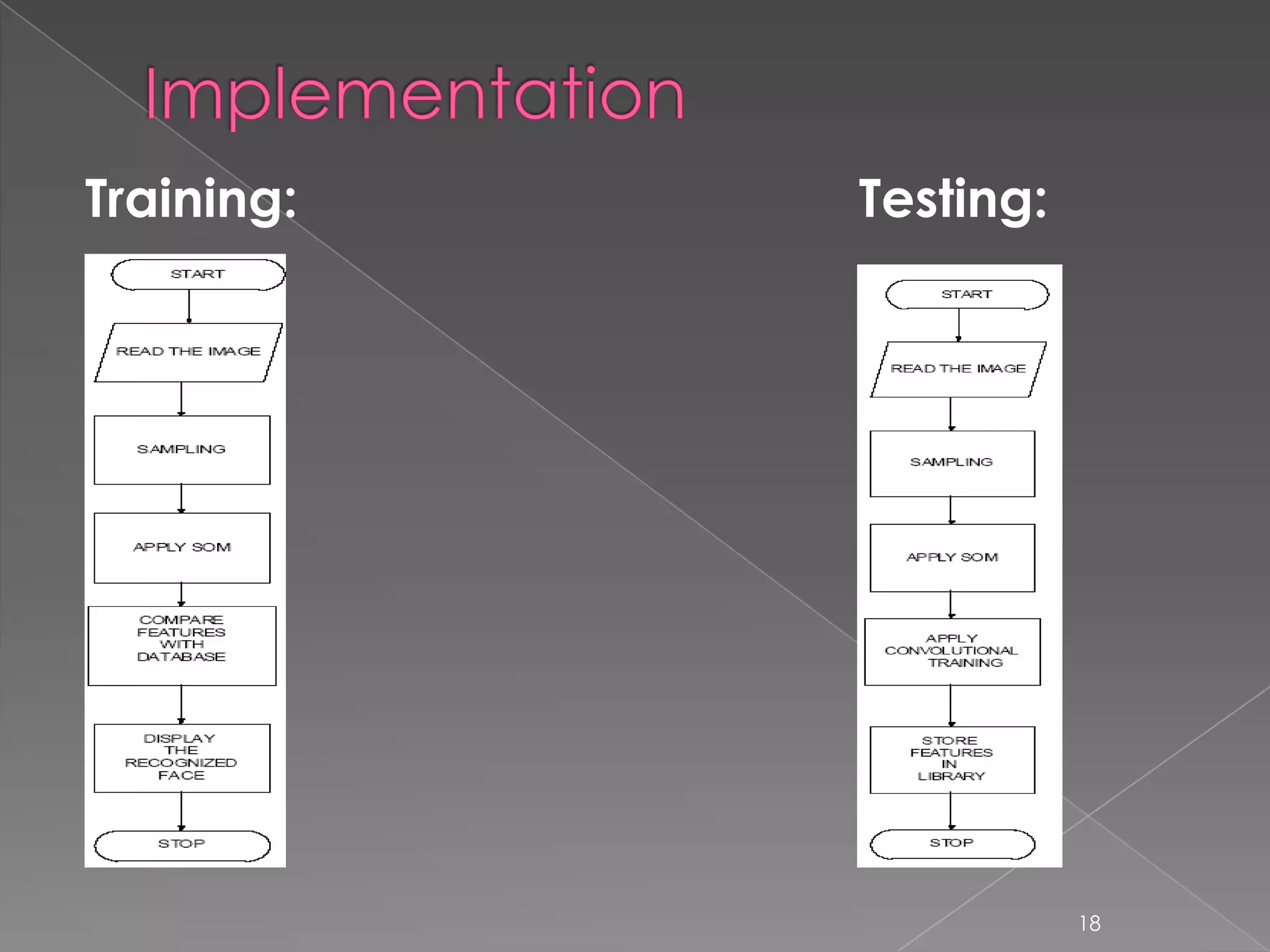 Training:   Testing:




                       18
 