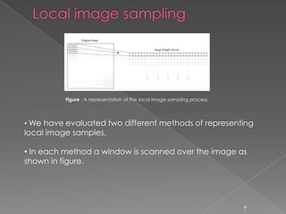 Figure : A representation of the local image sampling process.




• We have evaluated two different methods of representing
local image samples.

• In each method a window is scanned over the image as
shown in figure.




                                                                           9
 