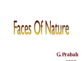 Faces Of Nature G.Prabaharan. 