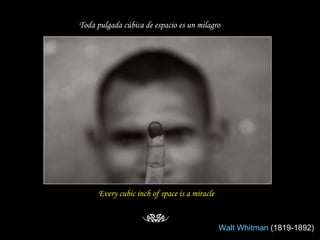 Toda pulgada cúbica de espacio es un milagro   Every cubic inch of space is a miracle Walt Whitman   (1819-1892)  