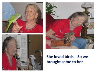 She loved birds… So we
brought some to her.

 