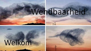 Wendbaarheid
Welkom
 