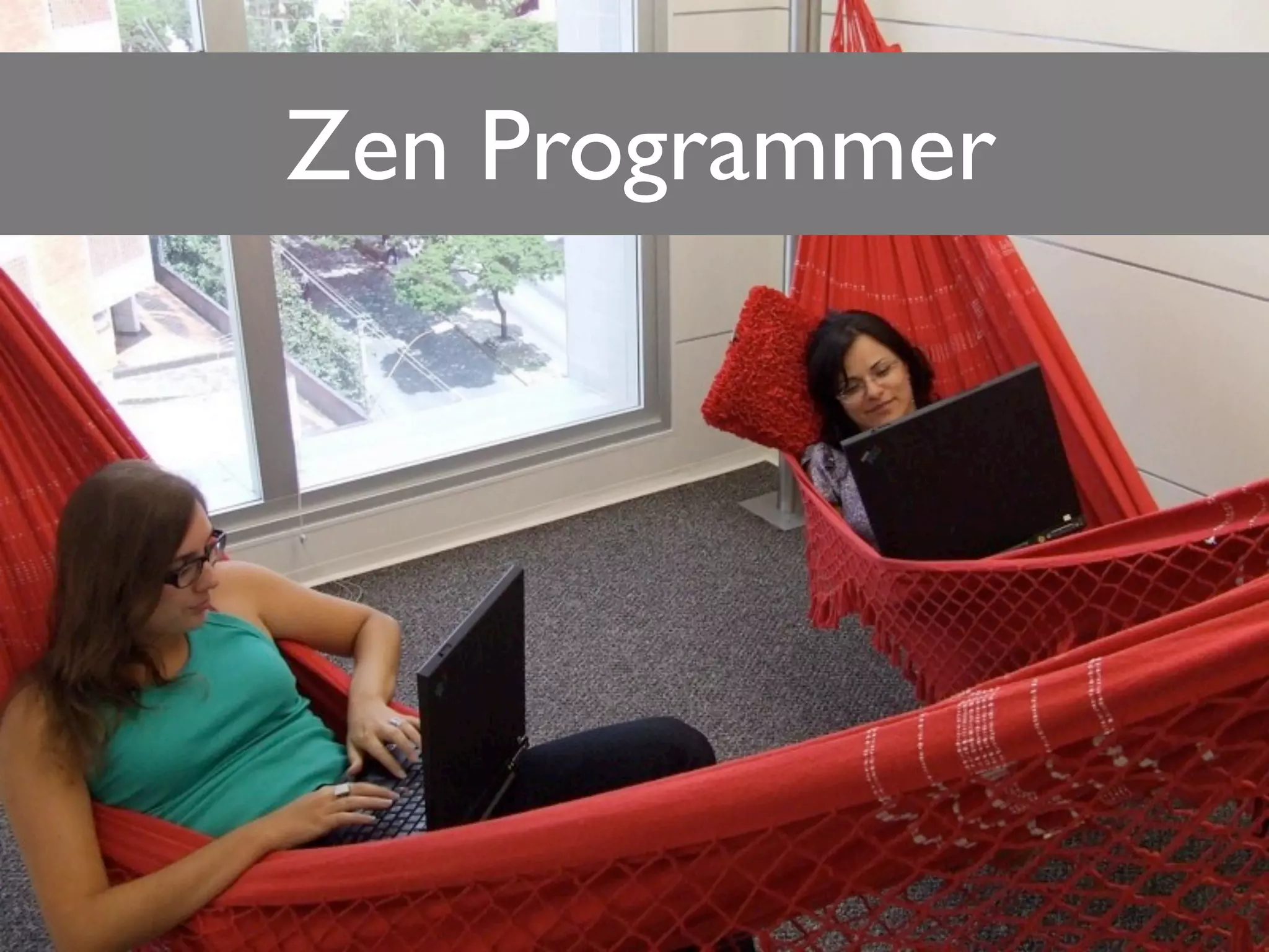 Zen Programmer
 