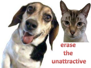 Face them 2
