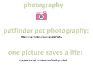 http://pro.petfinder.com/pet-photography/
http://www.onepicturesaves.com/learning-center/
 