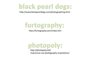 http://www.blackpearldogs.com/photographing.html
http://furtography.com/index.htm
http://photopoly.net/
impressive-cat-photography-inspirations/
 