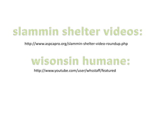 http://www.aspcapro.org/slammin-shelter-video-roundup.php
http://www.youtube.com/user/whsstaff/featured
 