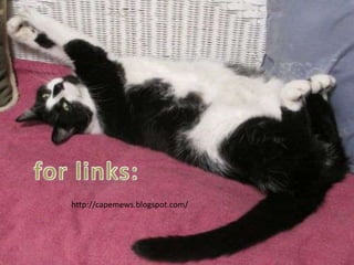 http://capemews.blogspot.com/
 