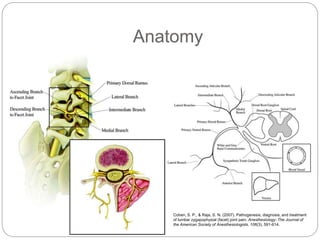 Anatomy
Cohen, S. P., & Raja, S. N. (2007). Pathogenesis, diagnosis, and treatment
of lumbar zygapophysial (facet) joint pain. Anesthesiology: The Journal of
the American Society of Anesthesiologists, 106(3), 591-614.
 