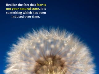 Realize the fact that fear is
not your natural state, it is
something which has been
    induced over time.
 
