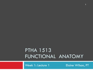 PTHA 1513 FUNCTIONAL  ANATOMY Week 1: Lecture 1    Elaine Wilson, PT 