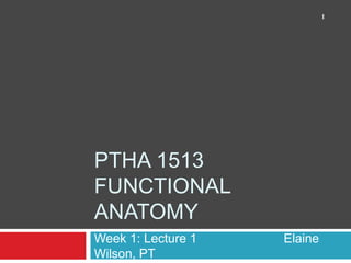 PTHA 1513
FUNCTIONAL
ANATOMY
Week 1: Lecture 1 Elaine
Wilson, PT
1
 