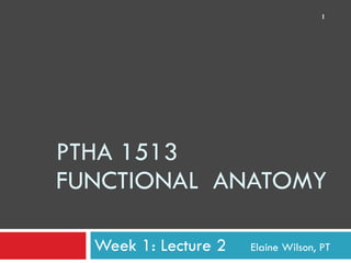 PTHA 1513 FUNCTIONAL  ANATOMY Week 1: Lecture 2    Elaine Wilson, PT 