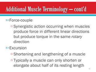 Force-couple Synergistic action occurring when muscles produce force in different linear directions but produce torque in the same  rotary  direction Excursion  Shortening and lengthening of a muscle Typically a muscle can only shorten or elongate about half of its resting length 