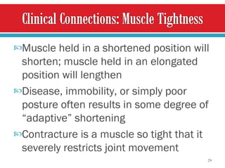 Muscle held in a shortened position will shorten; muscle held in an elongated position will lengthen Disease, immobility, or simply poor posture often results in some degree of “adaptive” shortening  Contracture is a muscle so tight that it severely restricts joint movement 