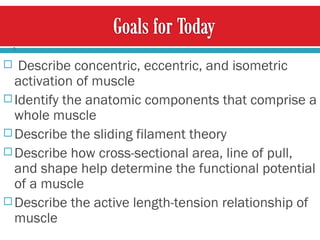 Describe concentric, eccentric, and isometric activation of muscle Identify the anatomic components that comprise a whole muscle Describe the sliding filament theory Describe how cross-sectional area, line of pull, and shape help determine the functional potential of a muscle Describe the active length-tension relationship of muscle 