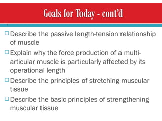 Describe the passive length-tension relationship of muscle  Explain why the force production of a multi-articular muscle is particularly affected by its operational length Describe the principles of stretching muscular tissue Describe the basic principles of strengthening muscular tissue 