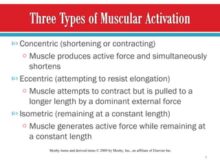 Concentric (shortening or contracting) Muscle produces active force and simultaneously shortens Eccentric (attempting to resist elongation) Muscle attempts to contract but is pulled to a longer length by a dominant external force Isometric (remaining at a constant length) Muscle generates active force while remaining at a constant length Mosby items and derived items © 2009 by Mosby, Inc., an affiliate of Elsevier Inc.  
