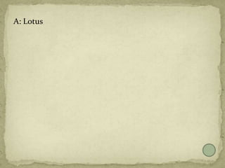A: Lotus
 
