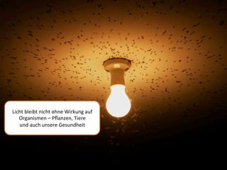 Welche Motive könnten für differenzierte
Zielgruppenansprache bedient werden?
Motive 50 bis Eintritt in den Ruhestand
• Allgemeines Interesse am Thema
• Wollen für Alter vorbereitet sein („vom Tisch haben“)
• Sorge um Eltern (Erhalt der Selbstständigkeit, wenn
Hilfeangebote in Anspruch genommen werden)
• Eigene Entlastung von Unterstützungsleistungen für
die Eltern / ältere Nachbarn durch deren Motivation
zur Annahme von Unterstützungsangeboten

Fachbereich Verwaltungswissenschaften, Professur für Kommunikations- und Sozialwissenschaften13

 