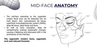 Facial Mastery Presentation in Aesthetic Injectables | PDF