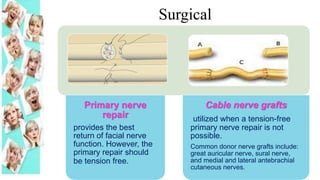 Primary nerve
repair
provides the best
return of facial nerve
function. However, the
primary repair should
be tension free.
Cable nerve grafts
utilized when a tension-free
primary nerve repair is not
possible.
Common donor nerve grafts include:
great auricular nerve, sural nerve,
and medial and lateral antebrachial
cutaneous nerves.
Surgical
 
