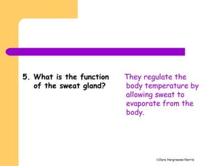 ©Clare Hargreaves-Norris
5. What is the function
of the sweat gland?
They regulate the
body temperature by
allowing sweat to
evaporate from the
body.
 