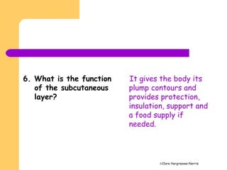 ©Clare Hargreaves-Norris
6. What is the function
of the subcutaneous
layer?
It gives the body its
plump contours and
provides protection,
insulation, support and
a food supply if
needed.
 