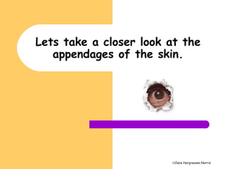 ©Clare Hargreaves-Norris
Lets take a closer look at the
appendages of the skin.
 